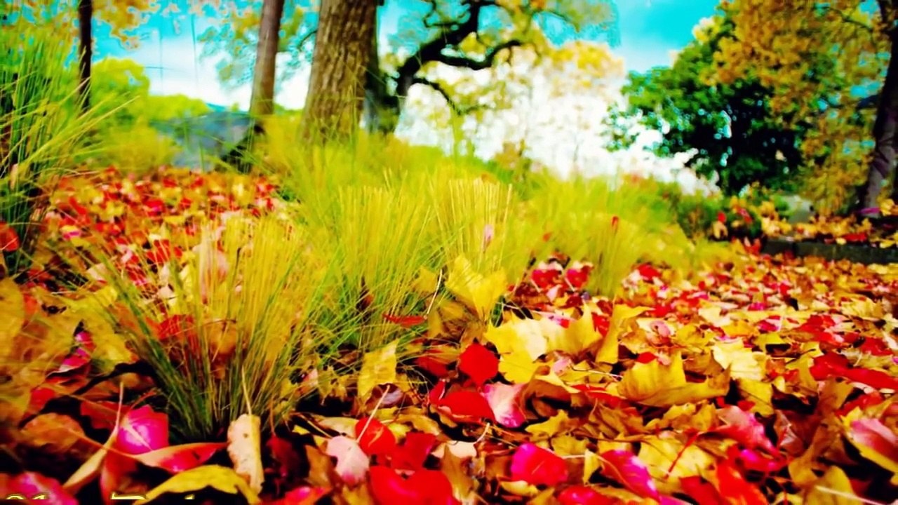 Autumn waltz - Music Video HD Dalymotion