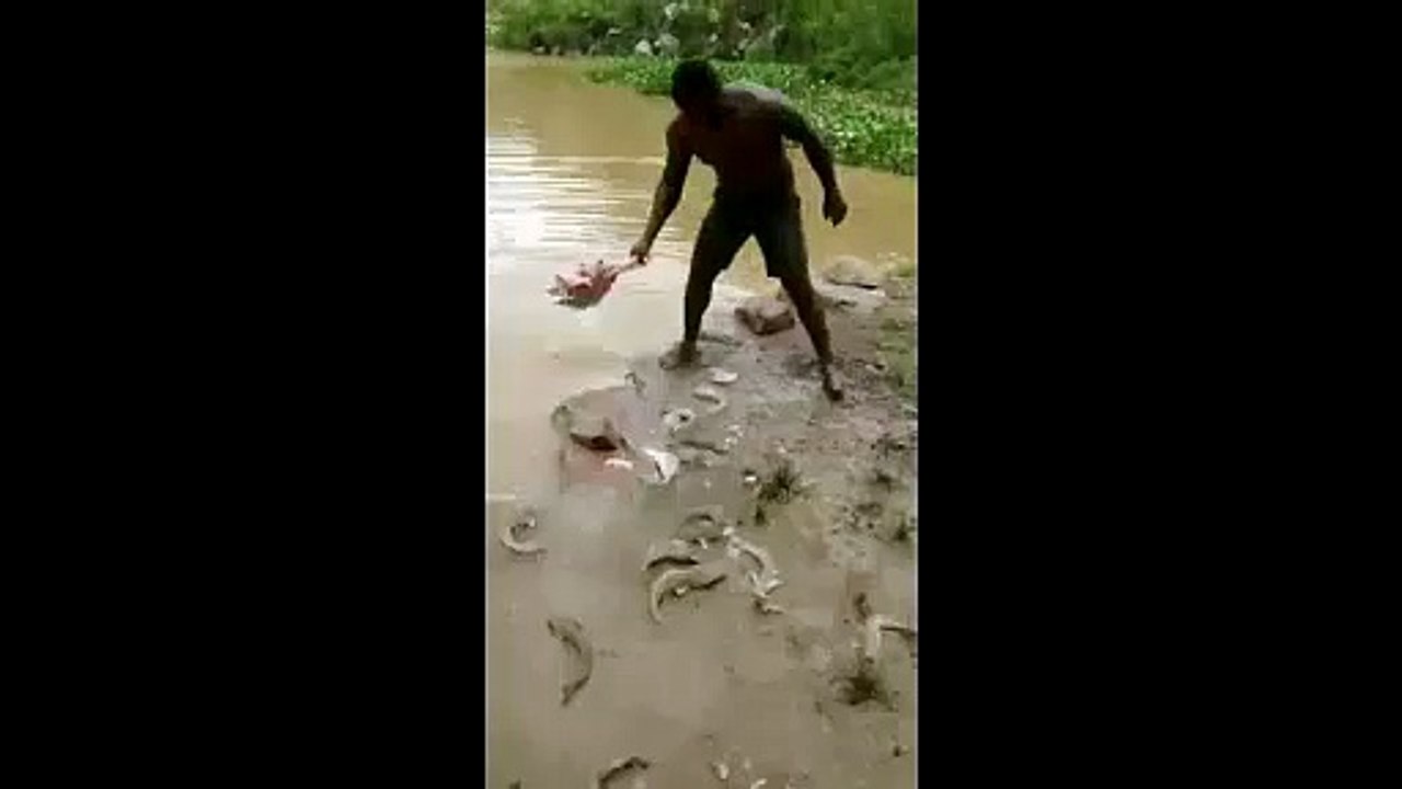 clip Đây có lẽ là màn câu cá bá đạo nhất quả đất