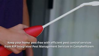 Protect Your Home With Pest Control In Campbelltown