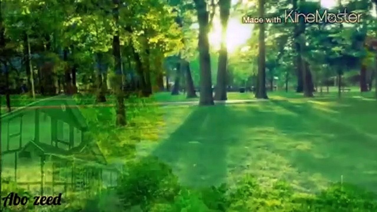 عازار حبيب. نانا يا نانا