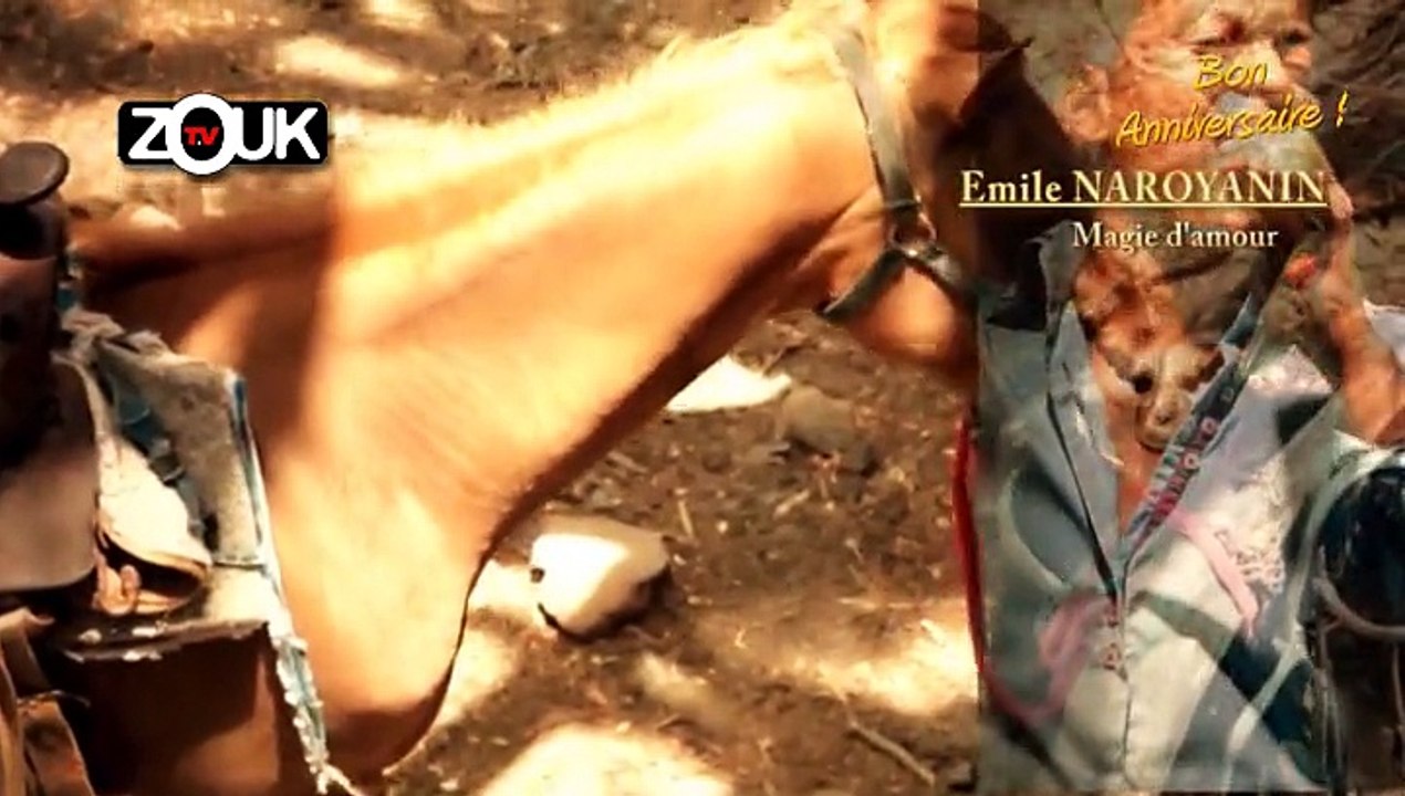 Joyeux anniversaire Emile Naroyanin