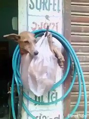 VID-20151012-WA0001.mp4