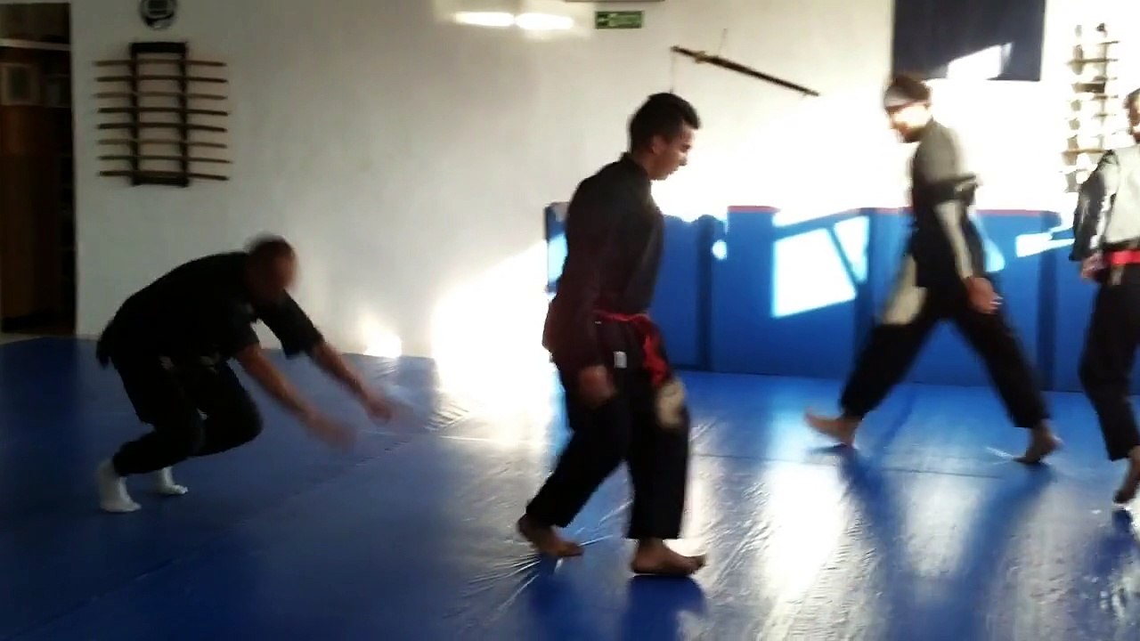 Allenamento per l'acrobatica