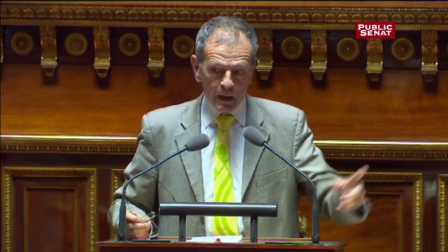 « L’immigration d’aujourd’hui, ce sont les terroristes de demain » affirme le sénateur non-inscrit Jean-Louis Masson