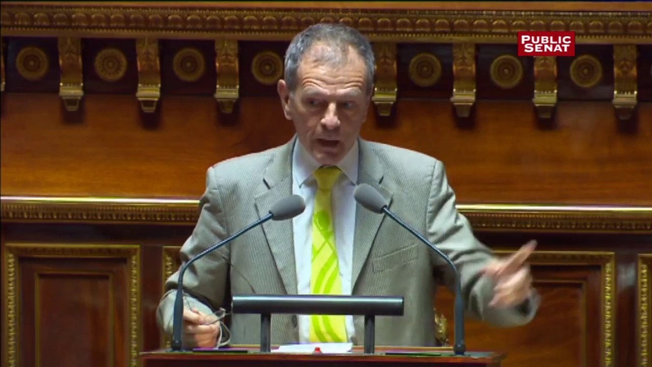 « L’immigration d’aujourd’hui, ce sont les terroristes de demain » affirme le sénateur non-inscrit Jean-Louis Masson