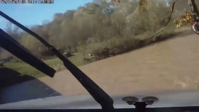 А куда плывем? К берегу..