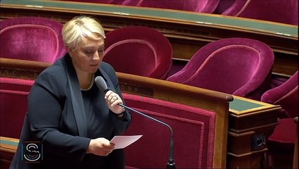 Trains de nuit : " Le Gouvernement a-t-il rendu des arbitrages sur le rapport Duron ? "