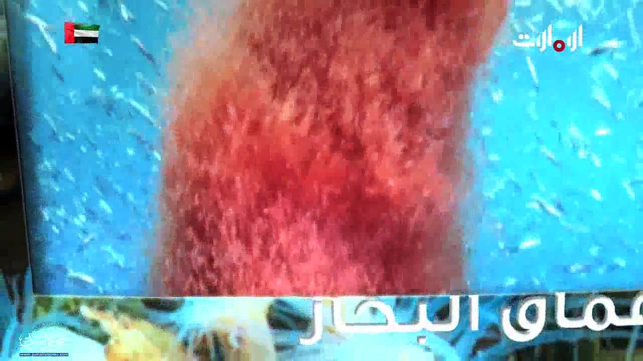 مسلسل الفصلة - الحلقة 6