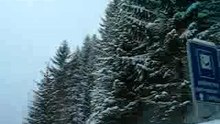MVI_2684