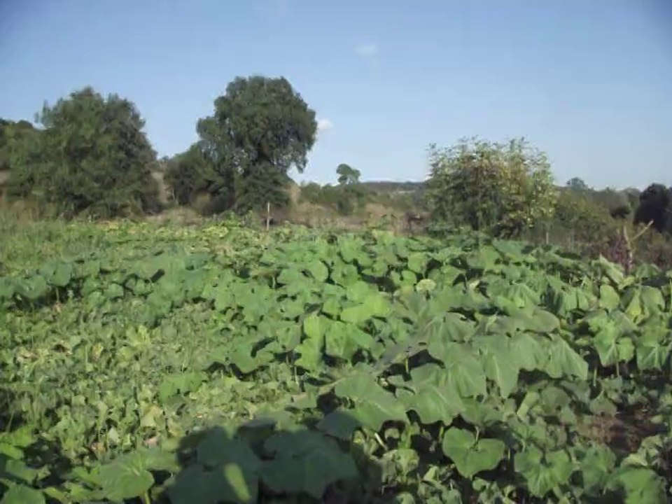 DSCF1117