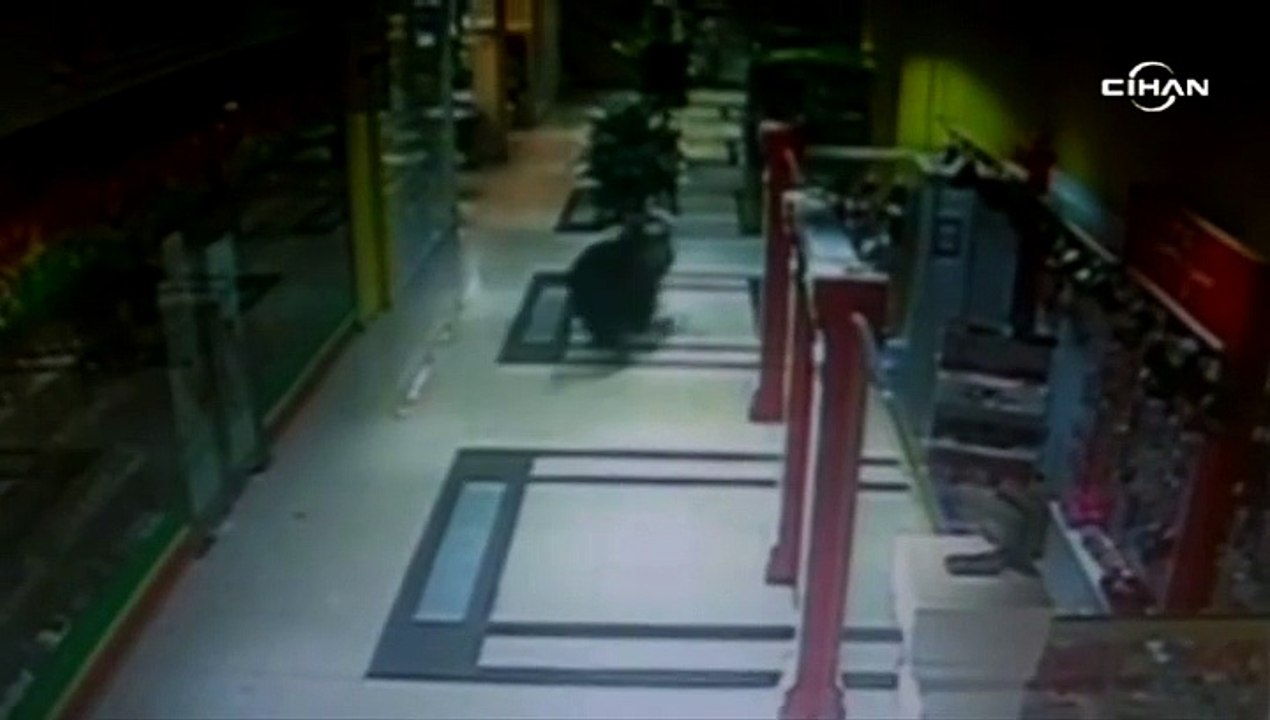 Girdiği AVM’de çıkış kapısını bulamayan ayı zor anlar yaşadı