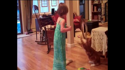 little girl plays with da kitteh