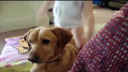 Rodeo Dog Bucks Baby Cowgirl