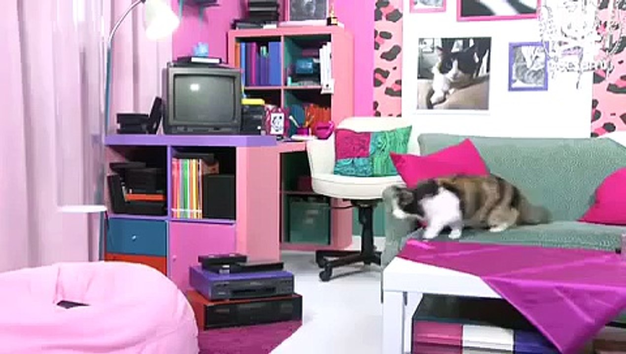 Adopt me: The adorable diabetic