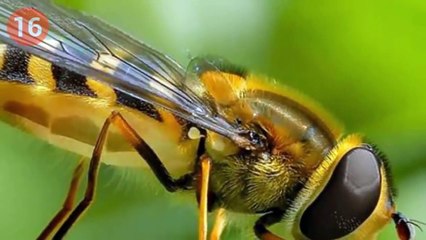 Sizi Çok Şaşırtacak 82 İlginç Bilgi