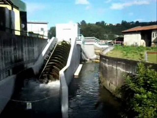 Unlocking Creative Power: The Energy Behind Programming 🚀