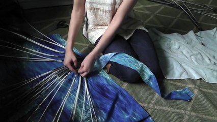 DIY: Peacock Halloween Costume!