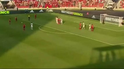 Ergys Kaçe Amazing Goal vs. France (Albania 1-0 France) 13/06/2015