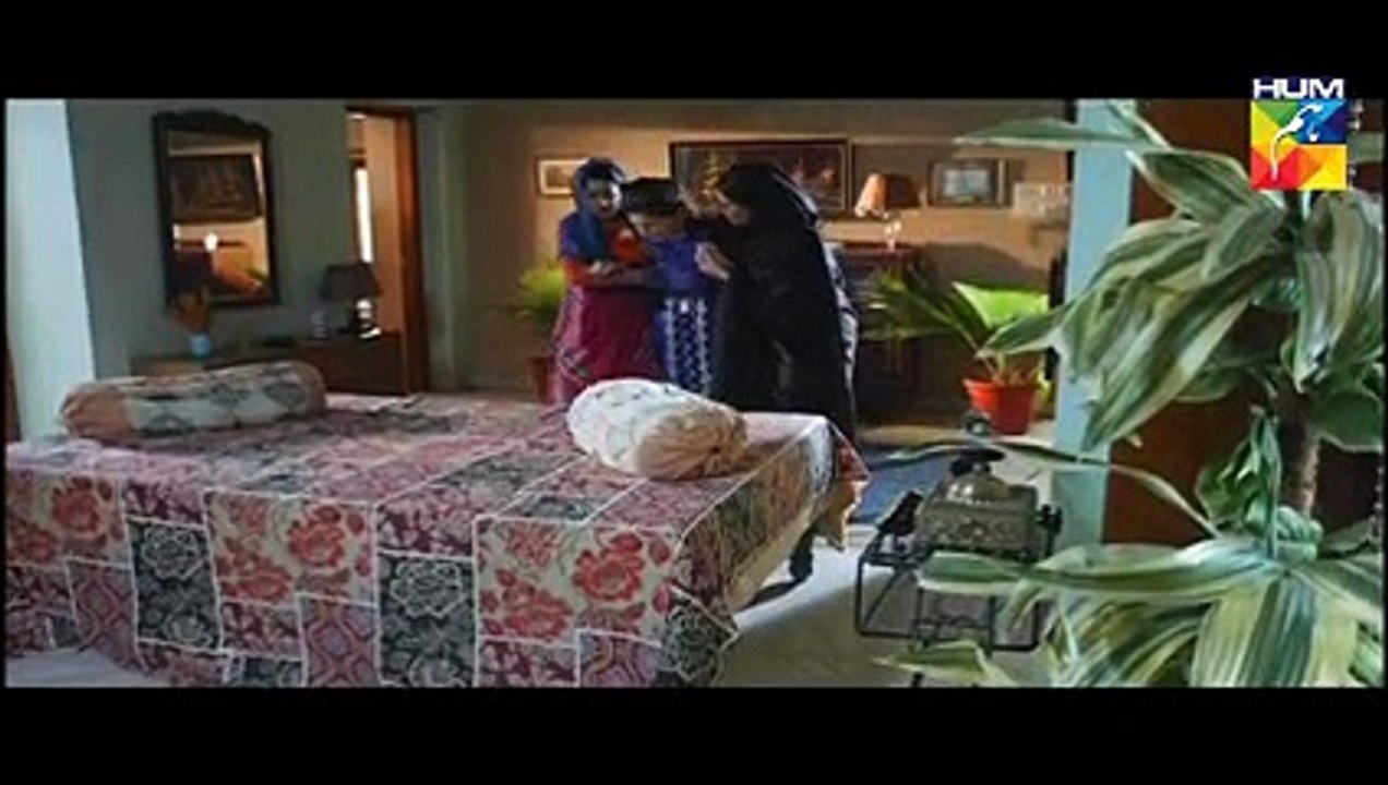 Mohabbat Aag Si Episode 24 Hum TV