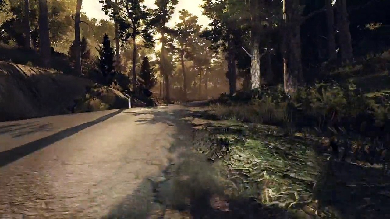 WRC 5 ps4 catalogne run