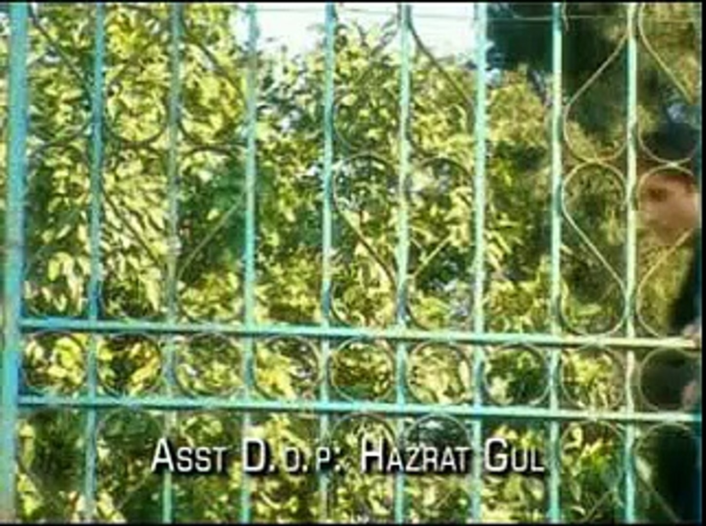 Shaaz Khan New (Songs) Qarara Rasha 2011