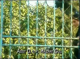 Shaaz Khan New (Songs) Qarara Rasha 2011