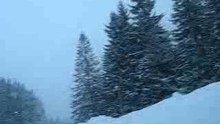 MVI_2687