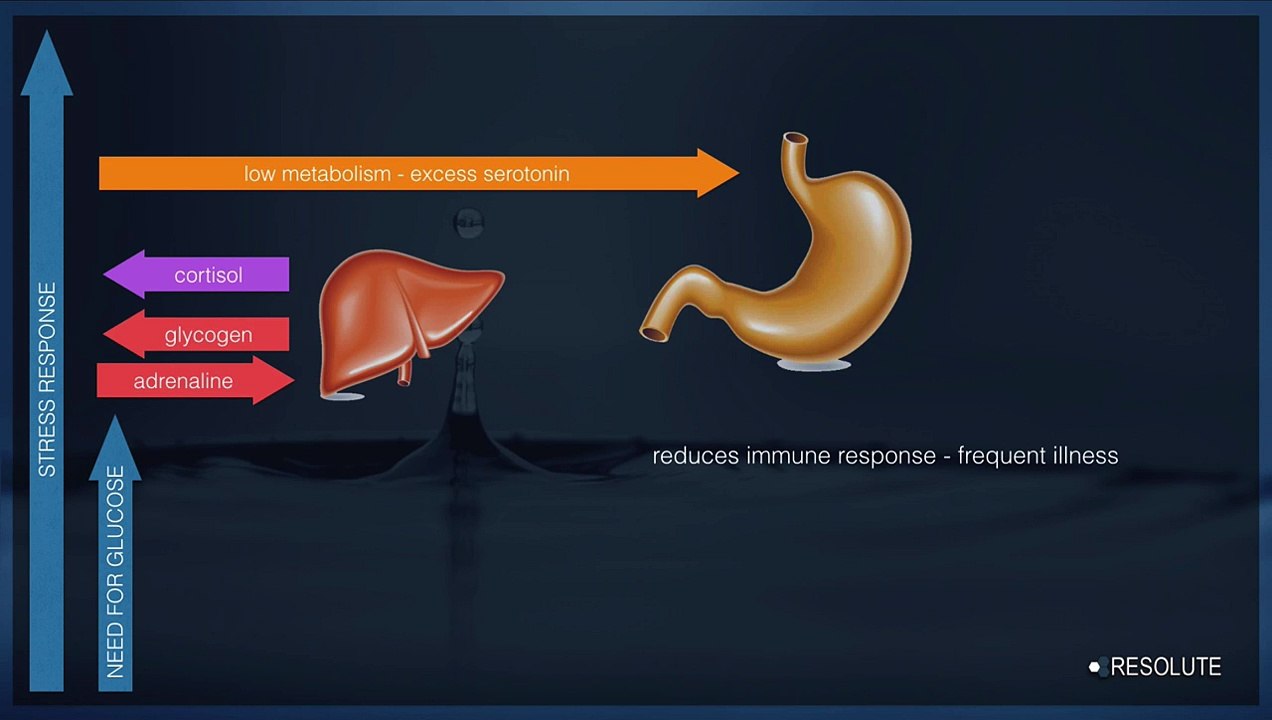 13 Energy and Metbolic Stress for Weight Loss and Metabolism