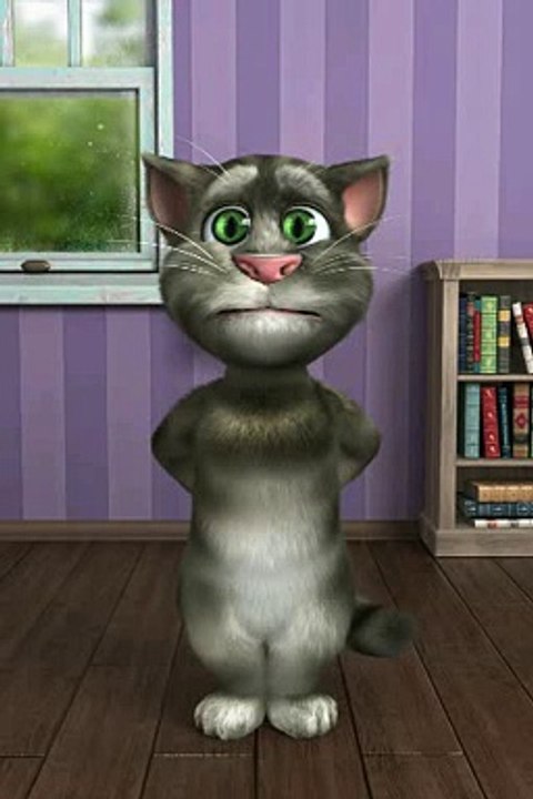 TalkingTom2.mp4