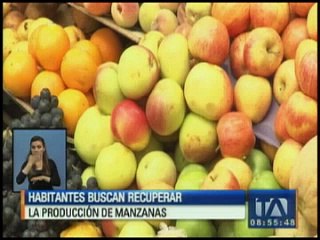 Cevallos intenta recuperar la producción de manzanas