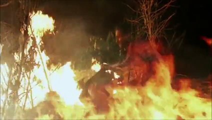 Flavia y Heriberto cap 129