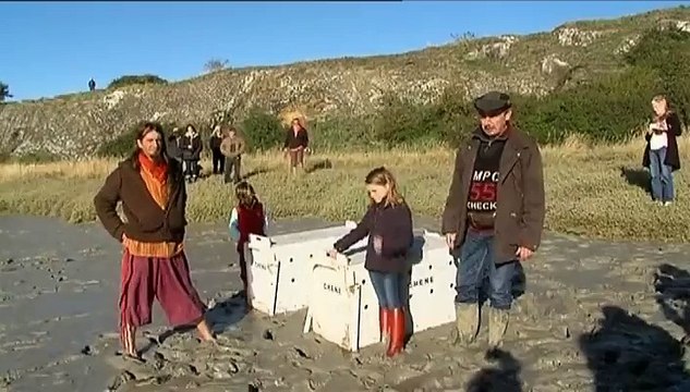 Baie du Mont-Saint-Michel : deux jeunes phoques relâchés en mer après plusieurs mois de soins