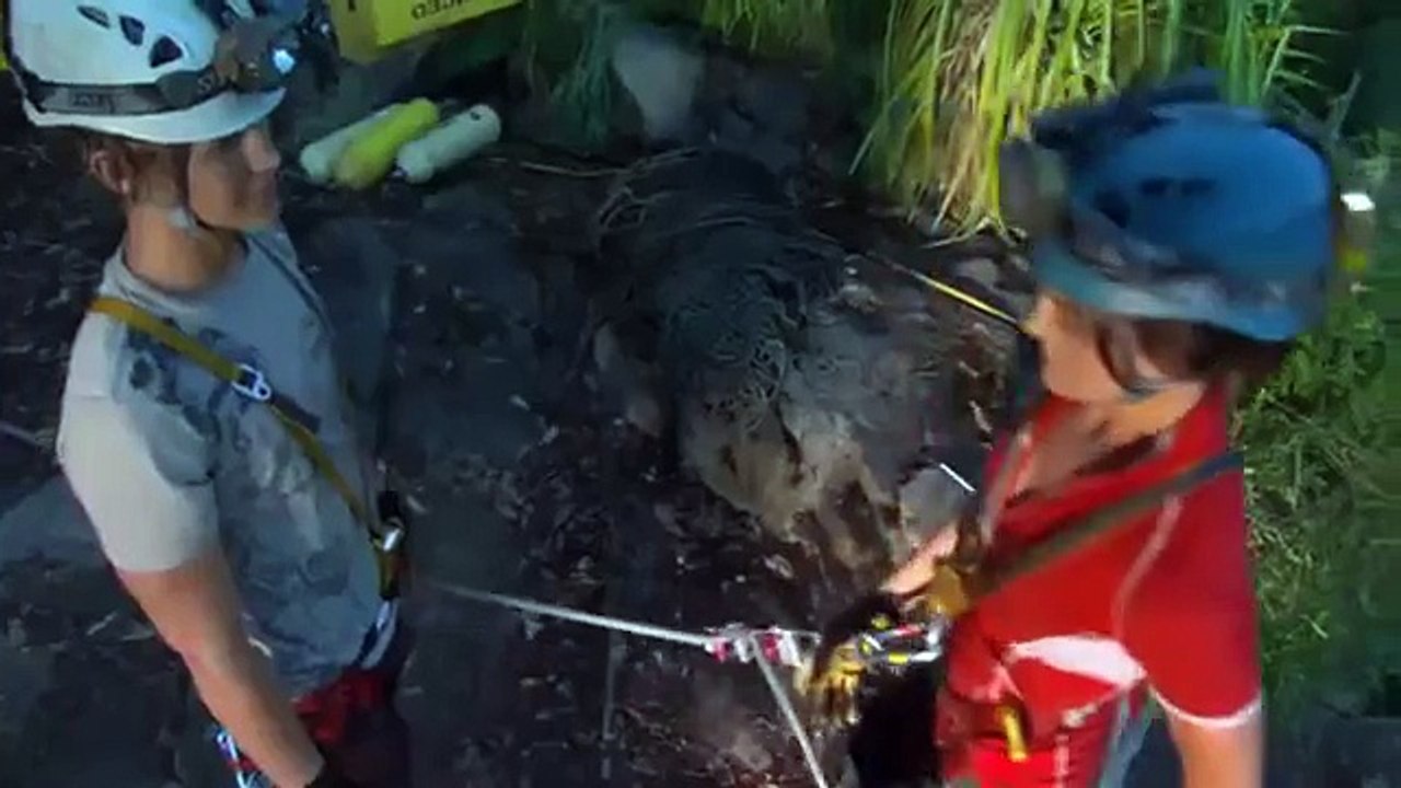 Sanctum (2011) - Full Movie HD