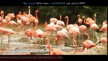 New Bangla Song 2015 Evabei Valobeshe by Rafiqul Alam & Kheya ft