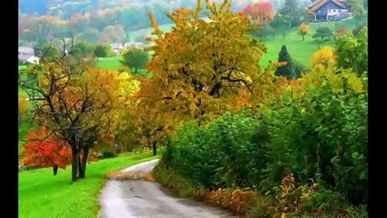 Senede Bir Gün -  Emel Sayın