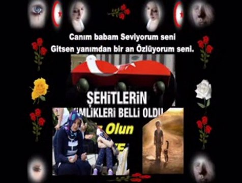 Ahmet Safak - agLama Yar