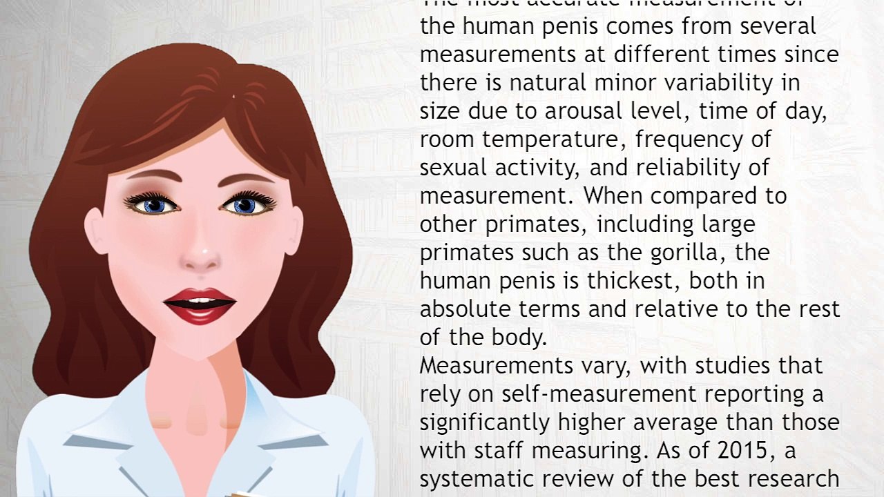 Human penis size