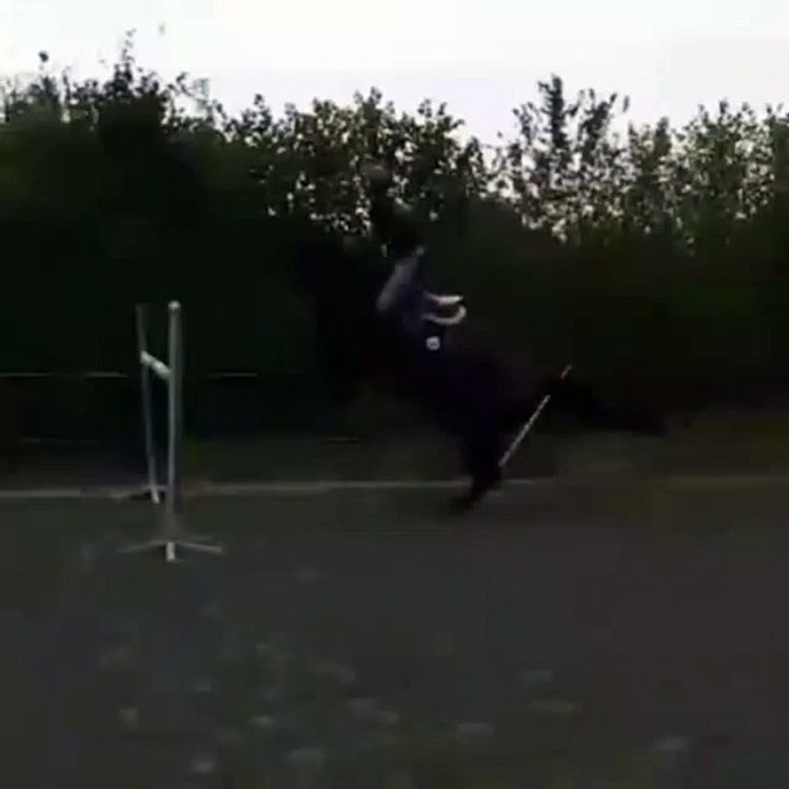 me