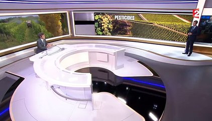 Gironde : la présence des écoles à proximité des vignes pose questions