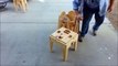 Mobile dinning table - amazing skills video