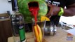 Booze Hack: The Mixer Watermelon Margarita Tipsy Bartender