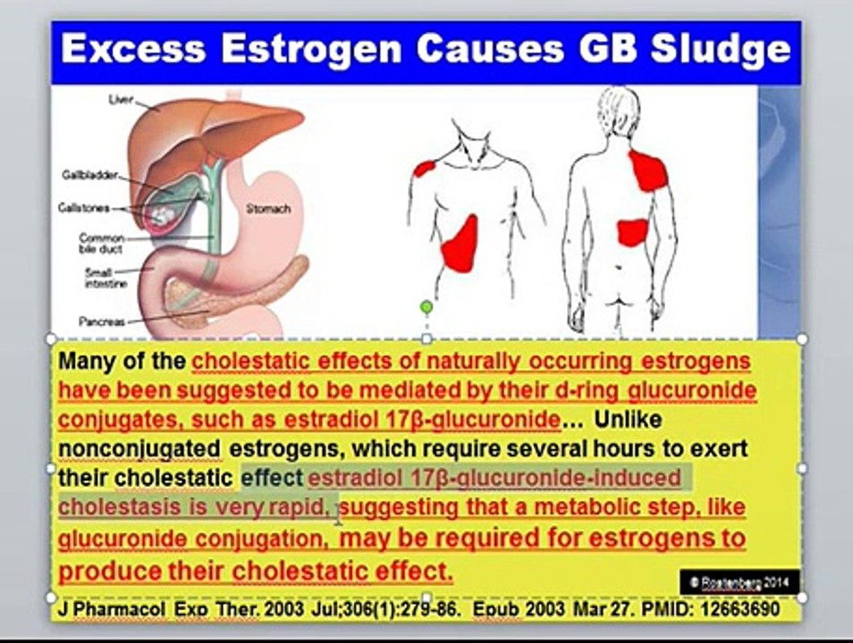 *UPDATED* Treating Methylation Disorders: Estro...