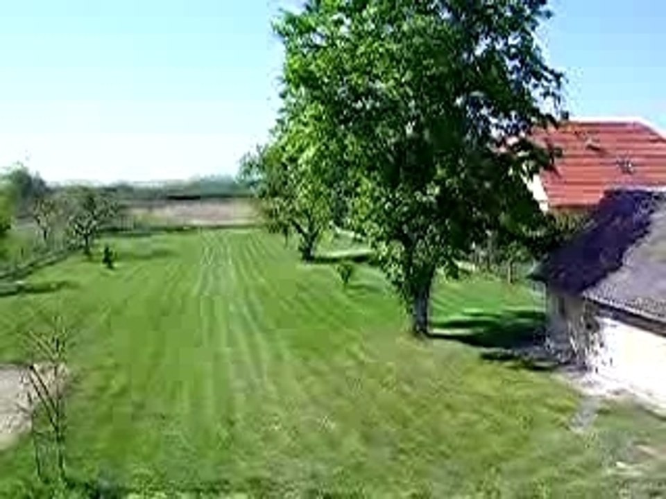 DSCN1916