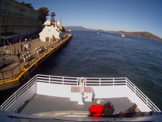 Attaque d'un grand requin blanc à Alcatraz