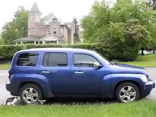 Askere Kimlik soran PKKlılara Yumruklu Cevap - Funny video