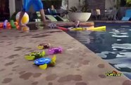 Robot Kaplumbağa ile oynuyoruz! - Robo Turtle İnceleme Videosu