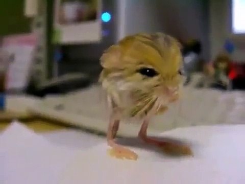 Что за чудо природы?!