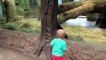 Ребёнок играет в прятки с детенышем гориллы! Невероятно!!