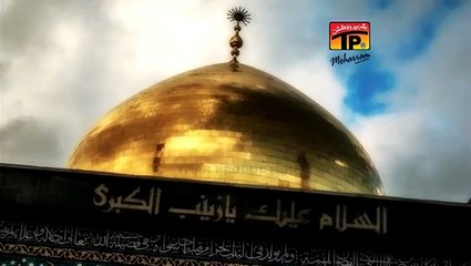 Hogayee Binte Ali (as) jab. Rizvia Party Album 15 (2015).