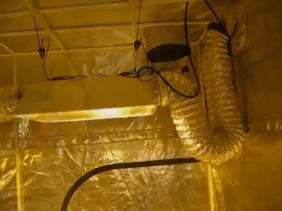 Hydroponics Grow Tents | Large Yields With Indoor Gardens